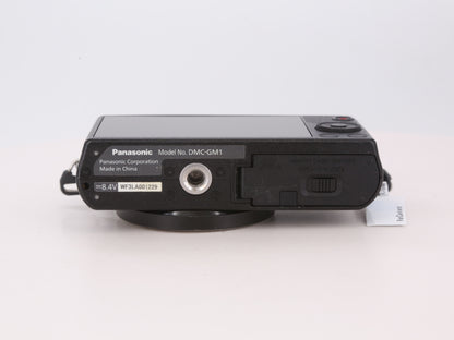 [Good, Shipping from US] Panasonic Lumix GM1 Camera