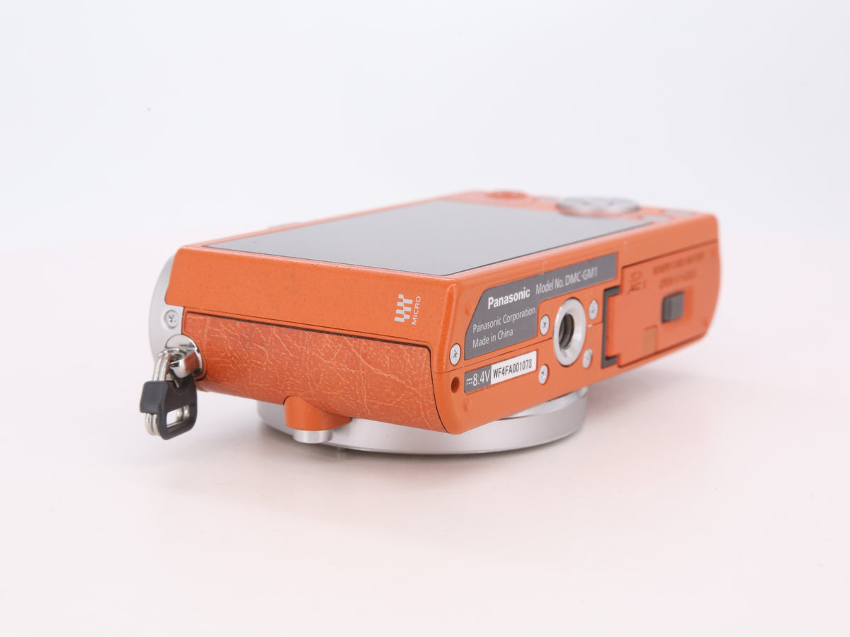 [Good, Shipping from US] Panasonic Lumix GM1 Camera