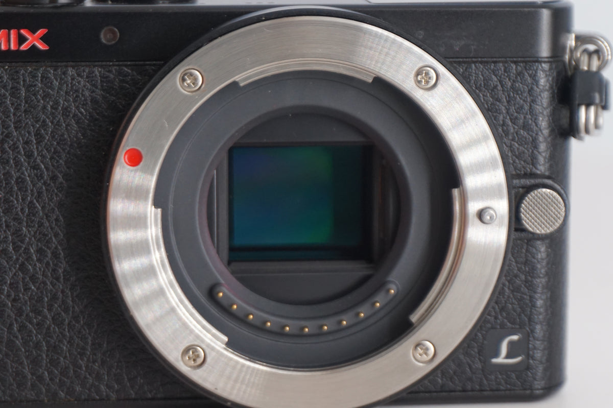 [Good, Shipping from US] Panasonic Lumix GM1 Camera