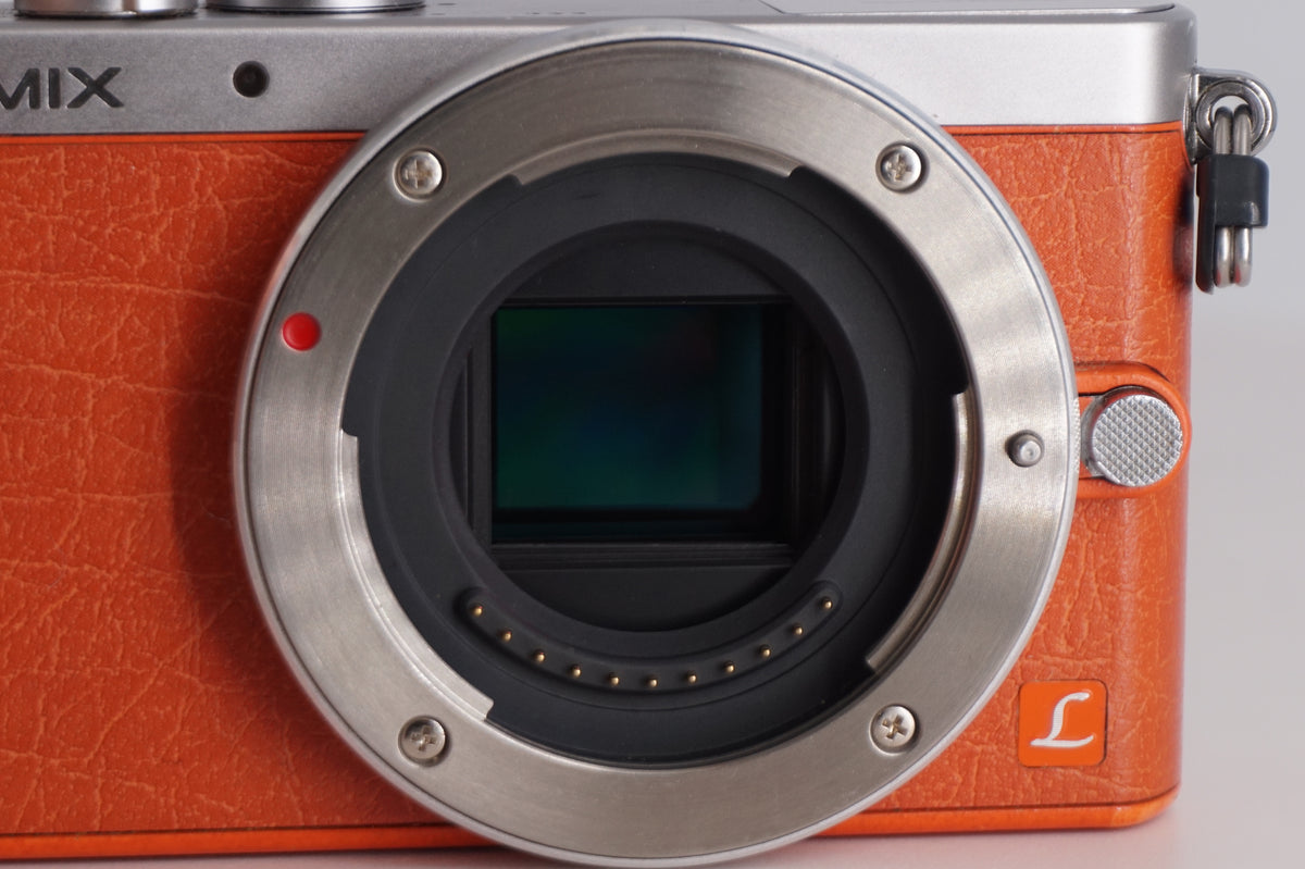 [Good, Shipping from US] Panasonic Lumix GM1 Camera